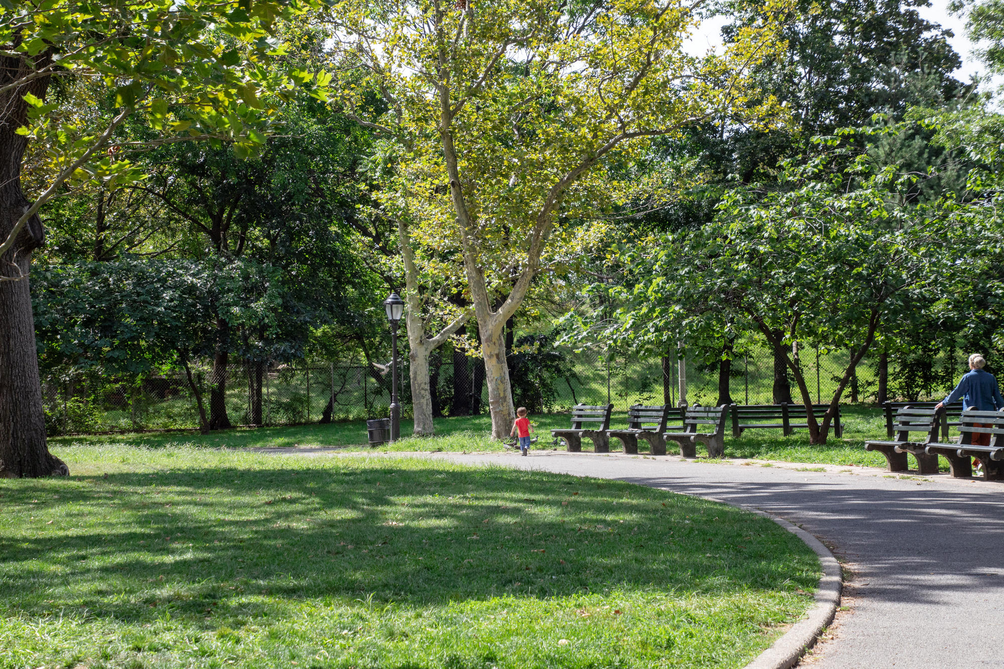 Park area with benches, grass, trees, pathway and people